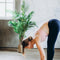 Fitness & Health