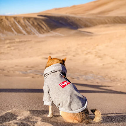Pup Dog Hoodie & Sweater - Stylish Streetwear Cat & Puppy Cotton Sweatshirts in Gray - S, M, L