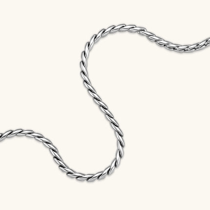 Men's 316L stainless steel twisted rope chain necklace, 560mm length, 3.9mm width, silver tone, screw clasp.