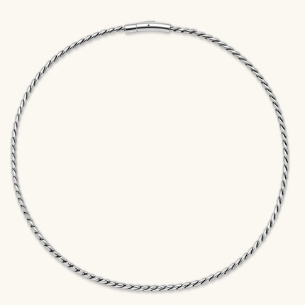Men's 316L stainless steel twisted rope chain necklace, 560mm length, 3.9mm width, silver tone, screw clasp.