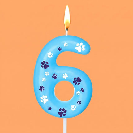 Blue Dog Paw Birthday Number Candles