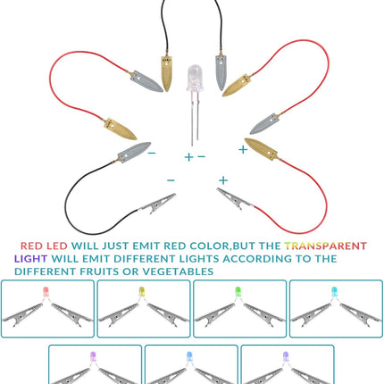 Fruit Battery Science Experiment Kit with Instruction