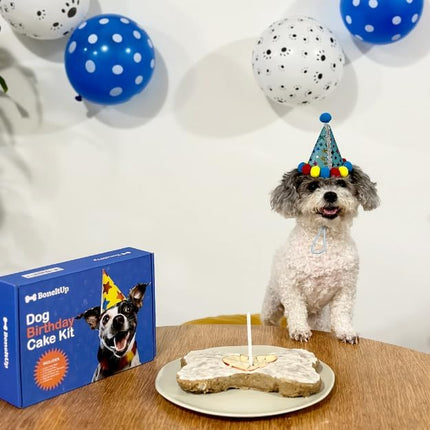 Dog Birthday Cake Kit - Bake Birthday Cakes for Dogs - Dog Party Supplies Set with - Large Cake Mold, 3 Vet-Backed Cake Recipes, 2 Drawing Pens, 10 Balloons, Birthday Hat & Bow