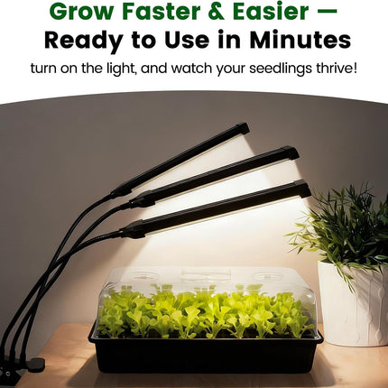 60 Cell Seed Starter Trays with Grow Light
