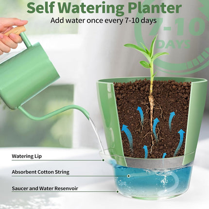 4 Pcs Self Watering Plant Pot , 6 Inch Plant Pot with Drainage Hole and Large Capacity Reservoir, Pots for Plants with Saucer, 2 in 1 Indoor Plant Pots Indoor Perfect for Living Room, Odorless