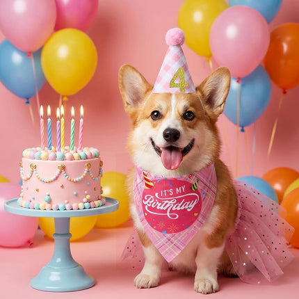 Dog Birthday Party Outfit Set for Small Medium Dog Cat Puppy Pink