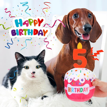Dog Birthday Cake Toy Squeaky Plush Gift,5Th,Pink
