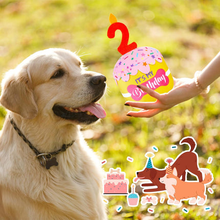 Dog Birthday Cake Toy Squeaky Plush Gift,2Nd,Pink and Yellow