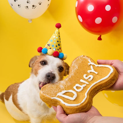Dog Birthday Cake Kit - Bake Birthday Cakes for Dogs - Dog Party Supplies Set with - Large Cake Mold, 3 Vet-Backed Cake Recipes, 2 Drawing Pens, 10 Balloons, Birthday Hat & Bow