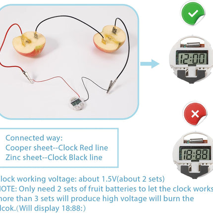 Fruit Battery Science Experiment Kit with Instruction