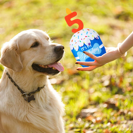 Dog Birthday Cake Toy Squeaky Plush Gift,5Th,Blue