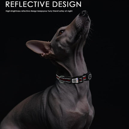 Dog Collar with Tracker Holder and QR Code ID, Waterproof Bluetooth Tracker Case, Reflective Padded Nylon for Small Medium Large Dogs