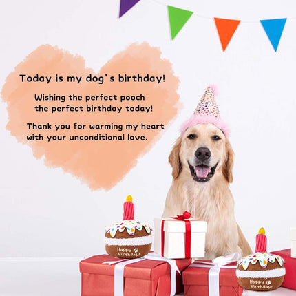 Dog Birthday Toy, Squeaky Plush Birthday Cake Puppy Gift