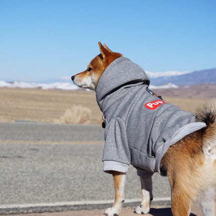 Pup Dog Hoodie & Sweater - Stylish Streetwear Cat & Puppy Cotton Sweatshirts in Gray - S, M, L