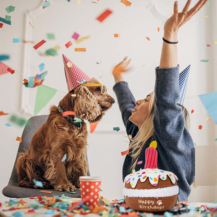 Dog Birthday Toy, Squeaky Plush Birthday Cake Puppy Gift