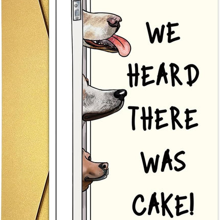 Funny Dog Birthday Cake Card for Him Her, Happy Birthday Card from Dog, Cute Birthday Cards for Dog Lovers, Dog Bady Card for Dog Mom Dog Dad Dog Friend, Birthday Card for Dog Owner