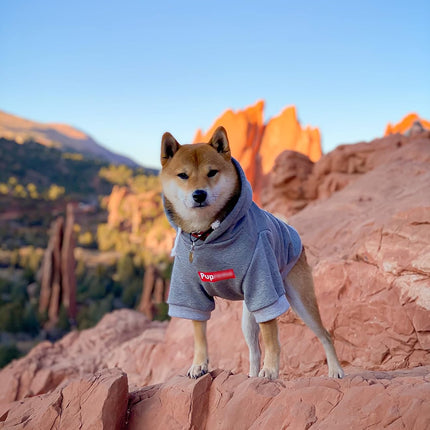 Pup Dog Hoodie & Sweater - Stylish Streetwear Cat & Puppy Cotton Sweatshirts in Gray - S, M, L