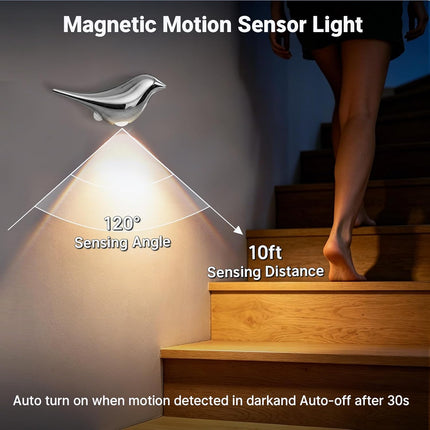 Motion Sensor Night Light:Cute Bird Rechargeable Lights 2 Pack
